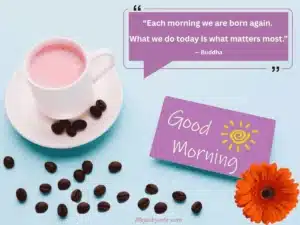 life changing quote by buddah